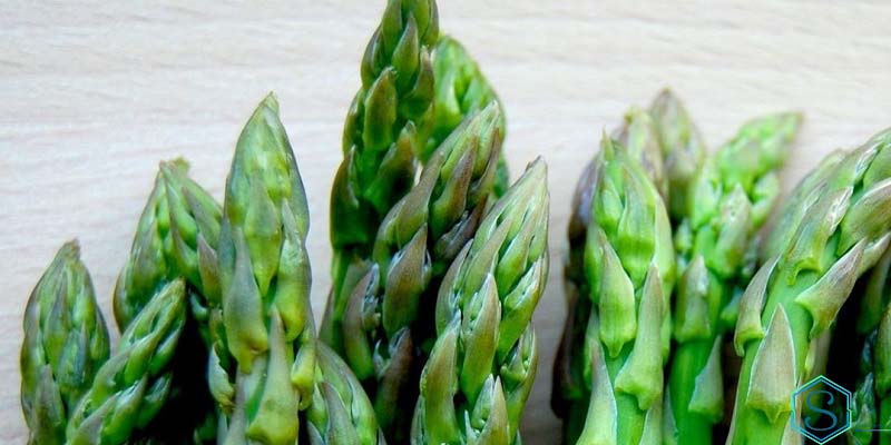 Măng tây có chất gì?