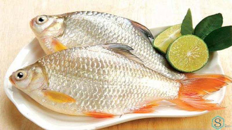 Tỏi kỵ cá diếc