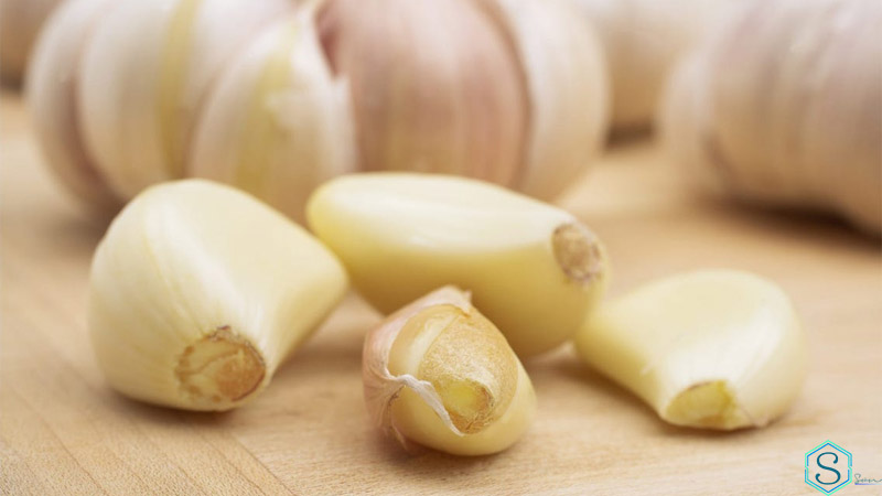 Tỏi và thuốc chống đông Warfarin