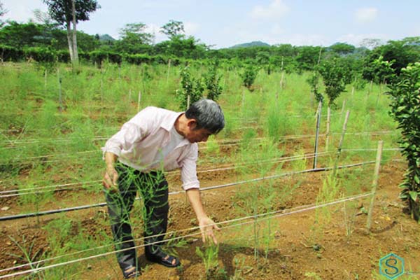 Nhiệt độ