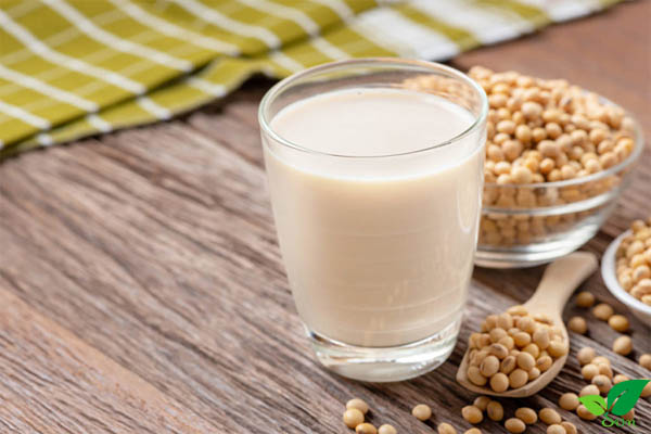 Uống sữa đậu nành nhiều mỗi ngày có tốt không?