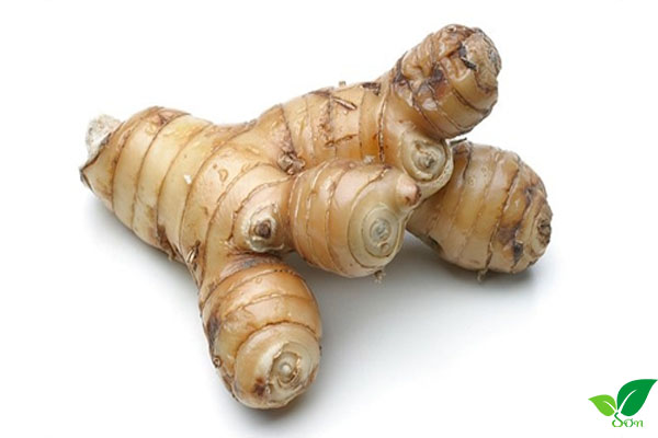 Tác dụng của củ riềng