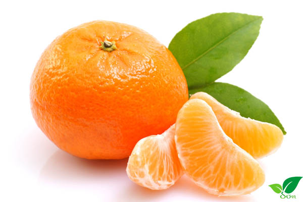 Cải thiện hệ tiêu hoá