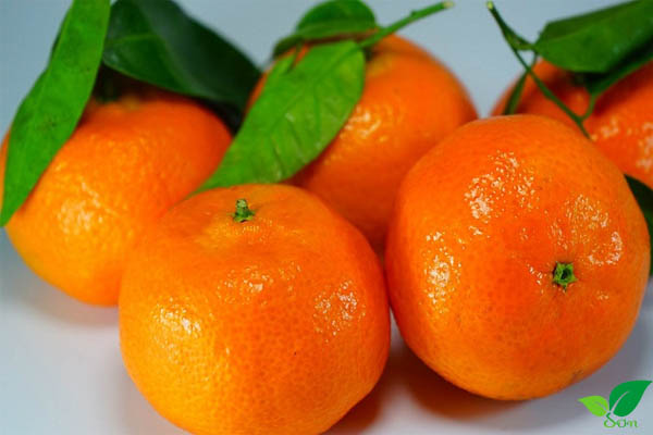 Cải thiện sức khoẻ tim mạch