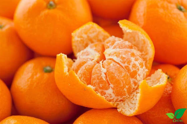 Tác dụng của quả quýt