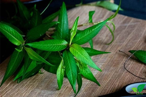 Cẩn thận với người có máu nóng, ốm gầy
