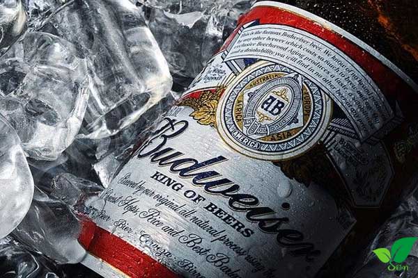 Quy trình sản suất bia Budweiser
