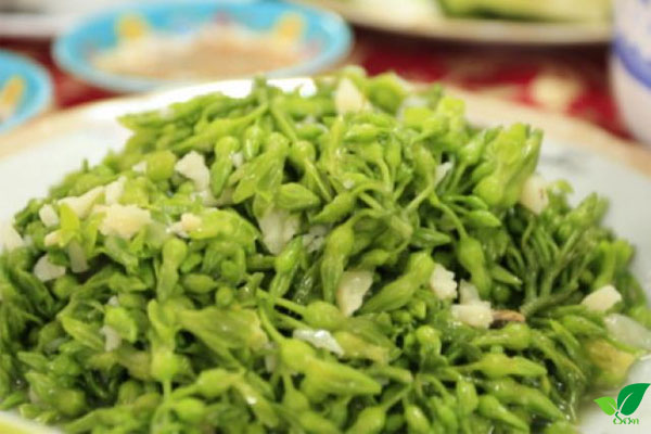 Công dụng của hoa thiên lý