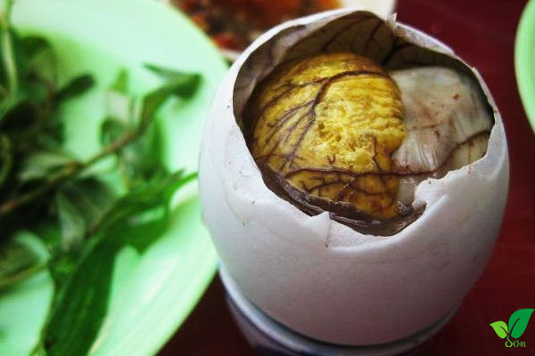 Trứng vịt lộn là gì?