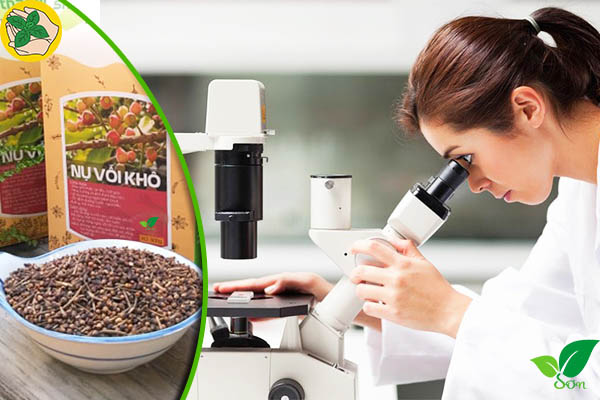 Thành phần hóa học của nụ vối khô