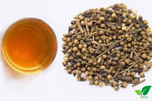 Tác dụng của nụ vối giảm cân, giảm mỡ máu