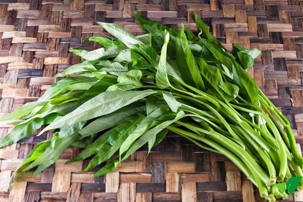Rau muống có tác dụng hỗ trợ điều trị thiếu máu