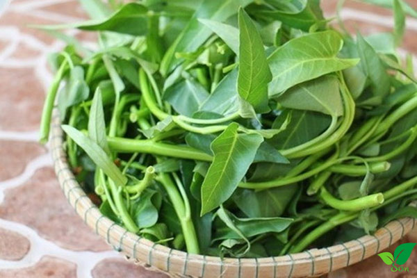 Điều trị chứng khó tiêu và táo bón nhờ rau muống