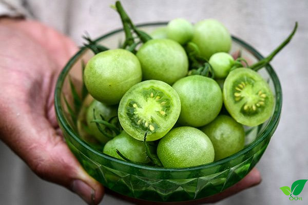 Không nên ăn hạt cà chua