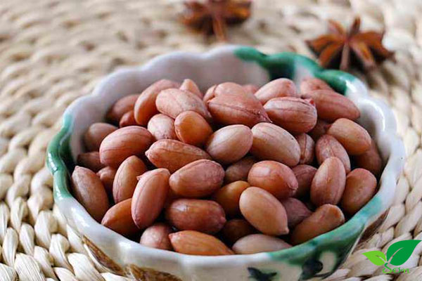 Hỗ trợ khả năng sinh sản