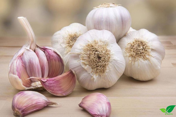 Ăn tỏi nấu chín có tốt không?