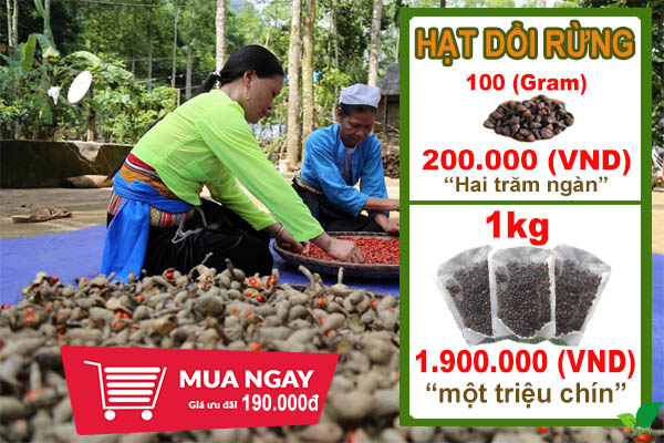 Hạt dổi giá bao nhiêu?