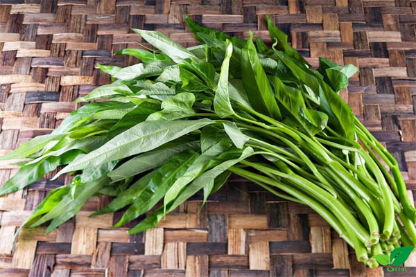 Rau muống là gì?