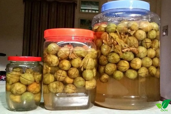 Tốt cho hệ tiêu hóa