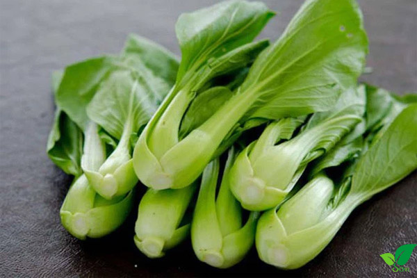 Thịt thỏ kỵ với cải chíp