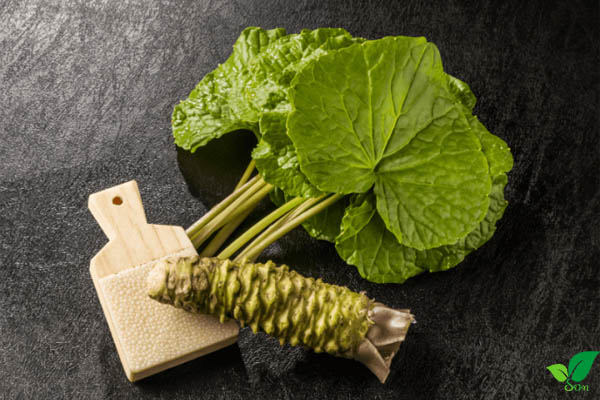 Thịt thỏ kỵ với gừng và mùi tạt