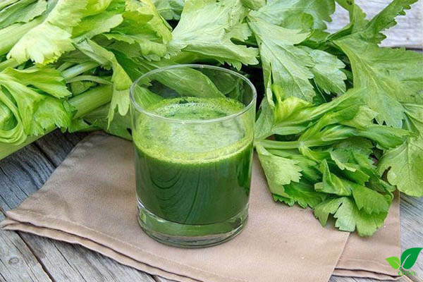 Thịt thỏ kỵ với rau cần tây