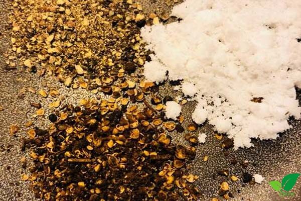 Cách 1: Muối rang và hạt mắc khén rang