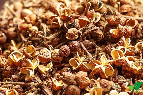 Hạt mắc khén là gì?