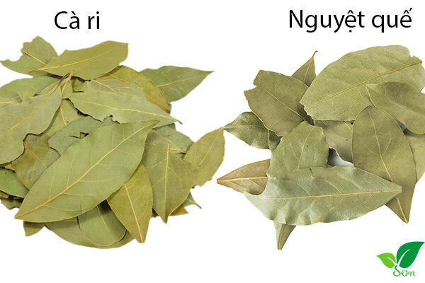 Lá cà ri và lá nguyệt quế khô?